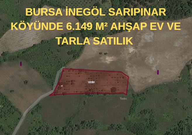 BURSA İNEGÖL SARIPINAR KÖYÜNDE 6.149 M² AHŞAP EV VE TARLA SATILIK  - BURSA İNEGÖL fotoğraf 7